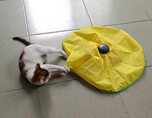 AOLIKES Electronic Cat Toy Interactive, V4 Version Cat Gym - Running Tool with Remote Control