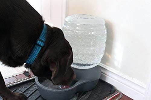 Petmate Replendish Gravity Waterer with Microban Cat and Dog Water Dispenser 4 Sizes