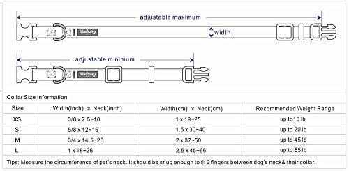 Blueberry Pet 32 Colors Classic Dog Collar, Rouge Red, Large, Neck 18"-26", Nylon Collars for Dogs