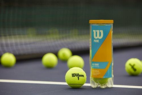Wilson Prime All Court Tennis Ball 3 Ball Can