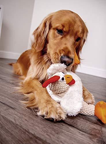 goDog Checkers Fat Rooster With Chew Guard Technology Tough Plush Dog Toy, White, Large