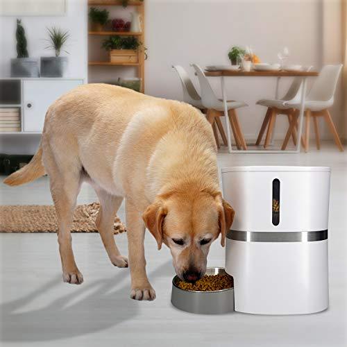 HoneyGuaridan A36 Automatic Pet Feeder, Dog, Cat, Rabbit & Small Animals Food Dispenser with Stainless Steel Pet Food Bowl, Portion Control and Voice Recording - Batteries and Power Adapter Support