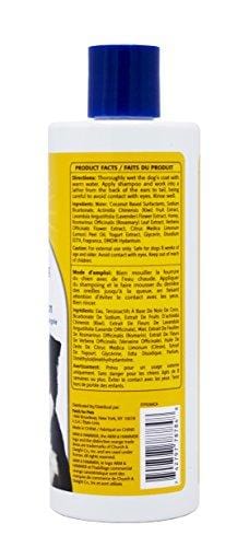 Arm & Hammer Super Deodorizing Shampoo for Dogs | Best Odor Eliminating Dog Shampoo for Smelly Dogs & Puppies, Kiwi Blossom Scent, 16 oz