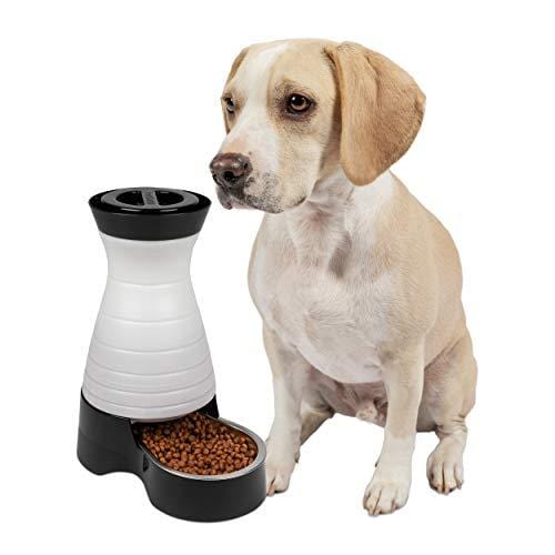 PetSafe Healthy Pet Gravity Dog and Cat Food Station, Stainless Steel Bowl, Holds 4 lbs of Dry Dog or Cat Food, Medium