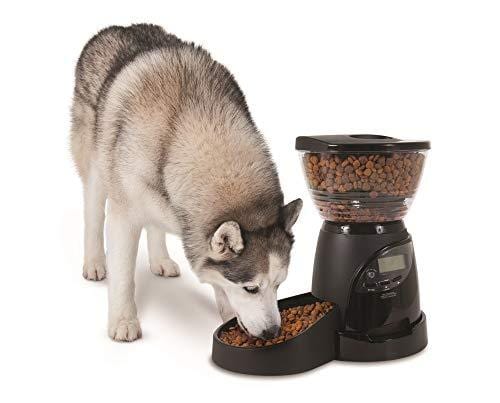 Aspen Pet Lebistro Programmable Cat and Dog Feeder 2 Sizes Black