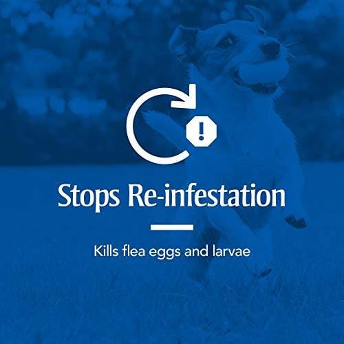 PetArmor Plus for Dogs, Flea and Tick Prevention for Large Dogs (45-88 Pounds), Includes 6 Month Supply of Topical Flea Treatments