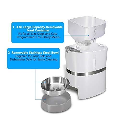 HoneyGuaridan A36 Automatic Pet Feeder, Dog, Cat, Rabbit & Small Animals Food Dispenser with Stainless Steel Pet Food Bowl, Portion Control and Voice Recording - Batteries and Power Adapter Support