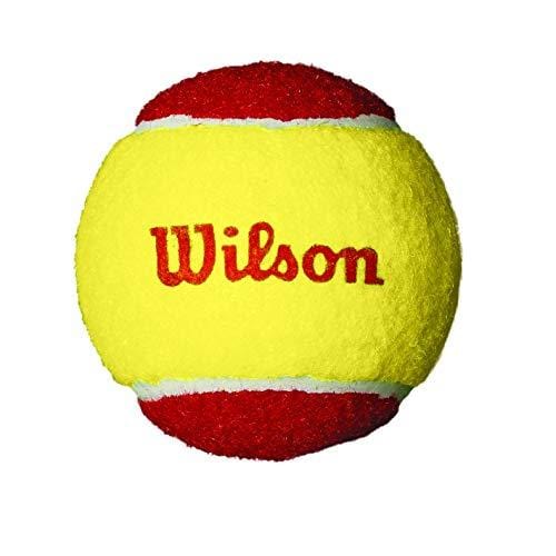 Wilson Starter Red Tennis Balls, 36-Pack
