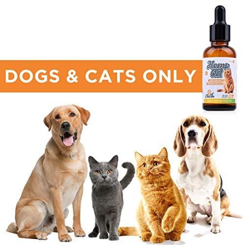 Pet Hemp Oil for Dogs Cats, Natural Organic Hemp Oil for Arthritis Pain Relief,Separation Anxiety,Supports Hip & Joint Health,Calming Relief and Better Sleep - Easily Apply to Treats (500mg)