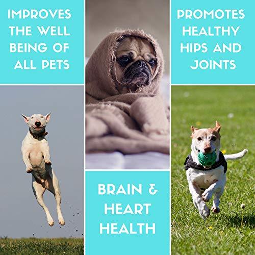 Hemp Oil for Dogs and Cats - 100 % Organic Natural Calming Drops - Anxiety Support - Hip and Joint Health - Pain Relief Stress Reducer for Pets - Omega 3 & 6