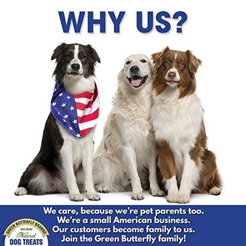 Green Butterfly Brands Beef Dog Treats - Made in USA Only - All Natural, Meaty Slow Roasted Beef Tips - Premium American Beef - Grass Fed, Farm Raised - Crunchy & Delicious Grain Free Training Treat