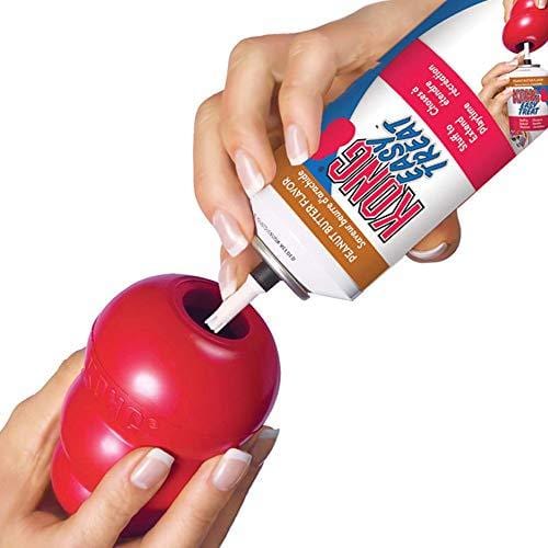 Kong Classic Dog Toy