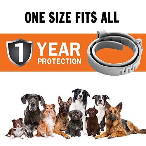 TUZIK Flea Collar for Dogs - 12 Months Flea and Tick Prevention - Dog Flea and Tick Treatment - Stable, Durable and Waterproof Flea and Tick Collar