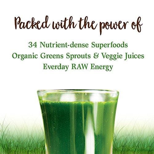 Garden of Life Raw Organic Perfect Food Green Superfood Juiced Greens Powder - Chocolate, 60 Servings - Non-GMO, Gluten Free, Vegan Whole Food Dietary Supplement, Plus Probiotics & Enzymes