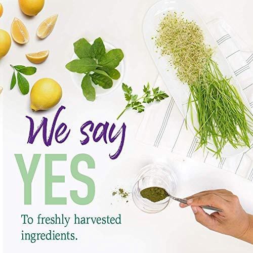 Garden of Life Raw Organic Perfect Food Alkalizer & Detoxifier Juiced Greens Superfood Powder - Lemon Ginger, 30 Servings (Packaging May Vary) - Non-GMO, Gluten Free Whole Food Dietary Supplement