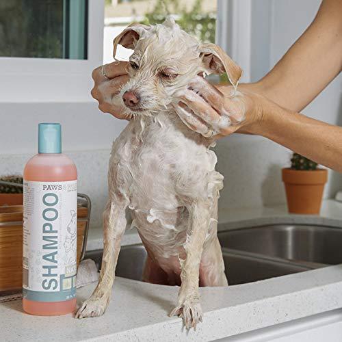 Natural Oatmeal Dog-Shampoo and Conditioner - 20oz Medicated Clinical Vet Formula Wash for All Pets Puppy & Cats - Made with Aloe Vera for Relieving Dry Itchy Skin