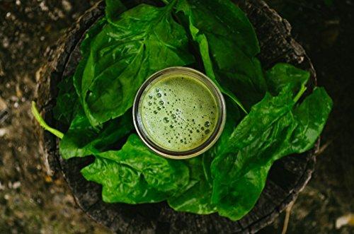 Amazing Grass Energy Green Superfood Organic Powder, Natural Caffeine with Wheat Grass, 7 Greens, Yerba Mate and Matcha Green Tea, Flavor: Lemon Lime, 100 Servings