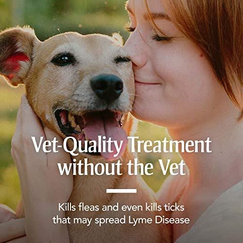 PetArmor Plus for Dogs, Flea and Tick Prevention for Small Dogs (5-22 Pounds), Includes 6 Month Supply of Topical Flea Treatments