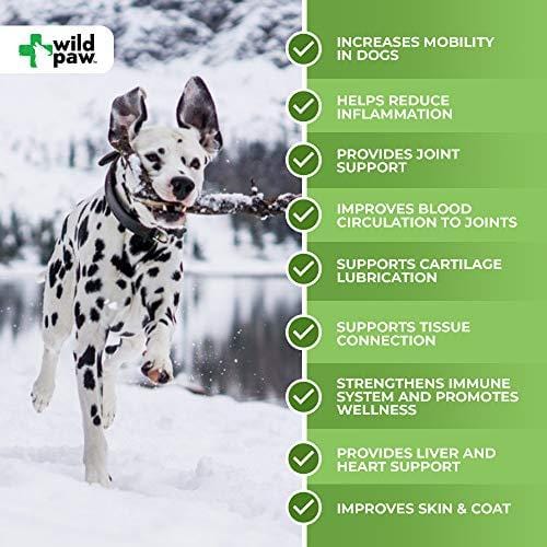Hemp Hip & Joint Support Supplement for Dogs : Organic Hemp Oil + Hemp Powder Dog Chew with Turmeric & Glucosamine Chondroitin MSM - Arthritis Pain Relief & Improved Mobility in Joints - 90 Treats