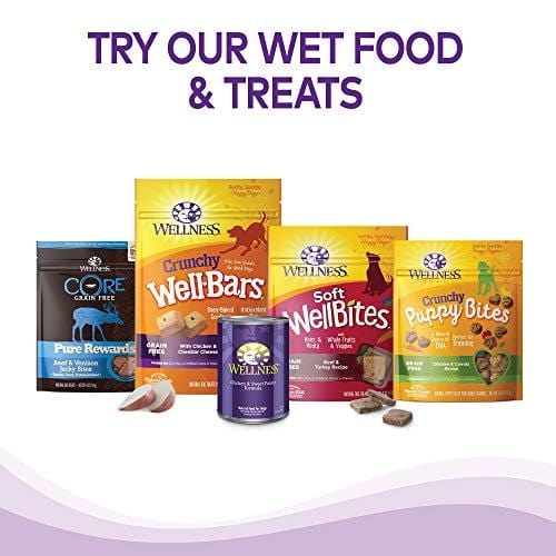 Wellness Complete Health Natural Dry Dog Food, Chicken & Oatmeal, 30-Pound Bag