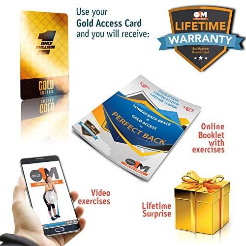 Only1MILLION Lumbar Back Brace - Back Support Brace for Women and Men, Herniated Disc, Sciatica, Scoliosis and More! - Breathable Mesh Design with Lumbar Pad (Size L)