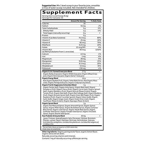 Garden of Life Raw Organic Perfect Food Energizer Juiced Green Superfood Greens Powder - Yerba Mate, Pomegranate, 30 Servings (Packaging May Vary) - Vegan Gluten Free Whole Food Dietary Supplement