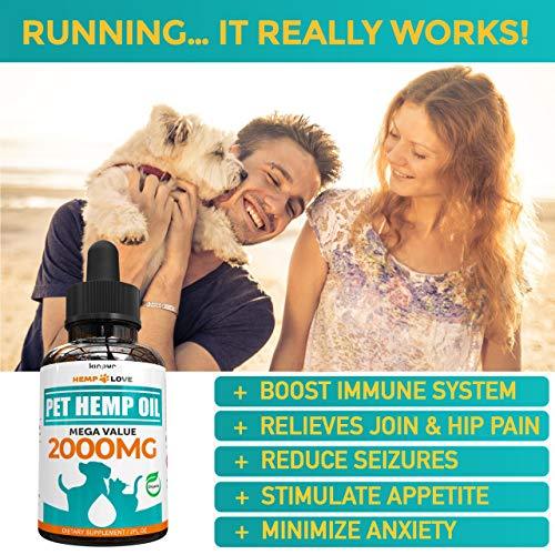 Organic Hemp Oil for Dogs & Cats - 2000mg - Premium Hemp Extract - Anxiety Relief for Dogs - Grown & Made in USA - Omega 3, 6 & 9 - Supports Hip & Joint Health - Natural Relief for Pain