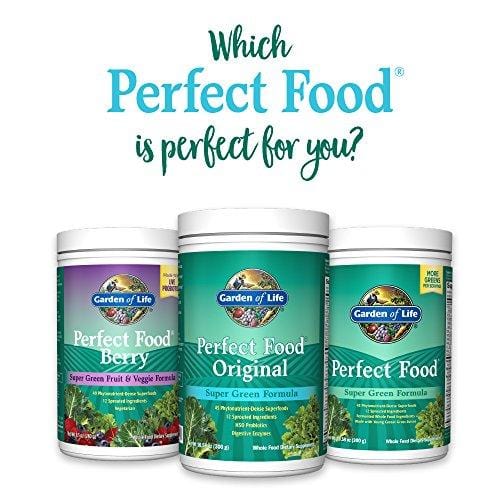 Garden of Life Whole Food Vegetable Supplement - Perfect Food Green Superfood Dietary Powder, 140g