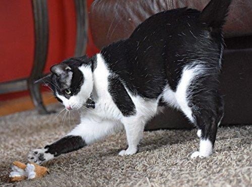 OurPets Play-N-Squeak Backyard Collection Squeaking Interactive Catnip Cat Toy
