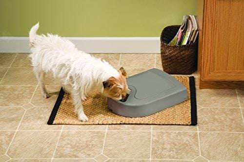 PetSafe 5 Meal Automatic Dog and Cat Feeder, Dispenses Dog Food or Cat Food, Digital Clock