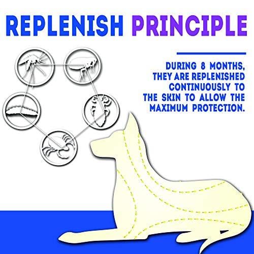 KEXMY Flea and Tick Collar for Dogs-Flea and Tick Prevention for Small, Medium or Large Dog - Waterproof Collar Flea Tick 2019