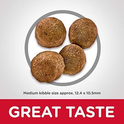 Hill's Science Diet Dry Dog Food, Adult, Sensitive Stomach & Skin, Chicken Recipe, 30 lb Bag