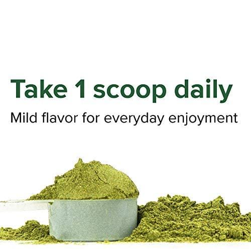 Vibrant Health, Green Vibrance, Plant-Based Superfood Powder, 25 Billion Probiotics Per Scoop, Vegetarian and Gluten Free, 60 Servings (FFP)