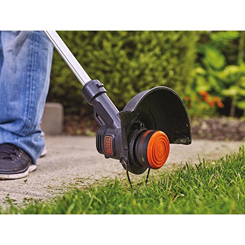 BLACK+DECKER 20V MAX String Trimmer/Edger Kit, 10-Inch (LST201)