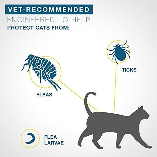 Seresto flea collar for cats, 8-month flea and tick prevention for cats 10 weeks of age and older
