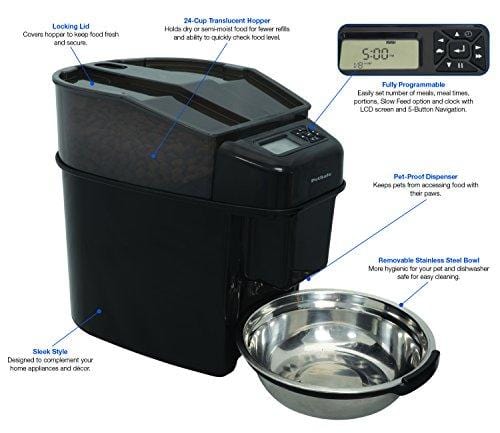 PetSafe Healthy Pet Simply Feed Automatic Pet Feeder, Dispenses Dog Food or Cat Food, Digital Clock