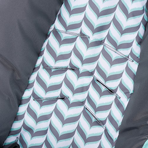 Evenflo Vive Travel System with Embrace, Spearmint Spree