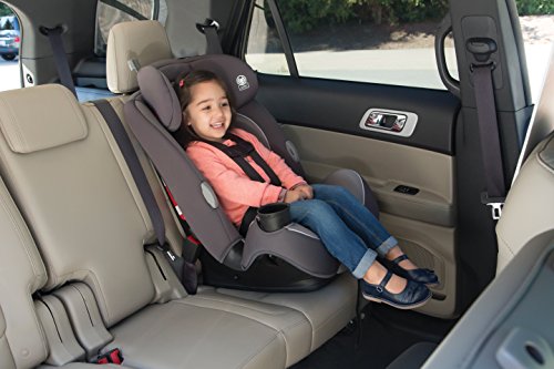 Safety 1st Continuum 3-in-1 Convertible Car Seat (Hollyhock)