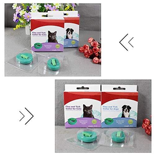 V2AMZ - Pet Natural Essential Oils Flea Tick Prevention Collar for Dogs Convenient to Use