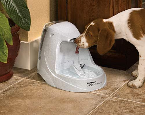 PetSafe Drinkwell Platinum Cat and Dog Water Fountain, Pet Drinking Fountain with Carbon Filter, 168 oz. Water Capacity