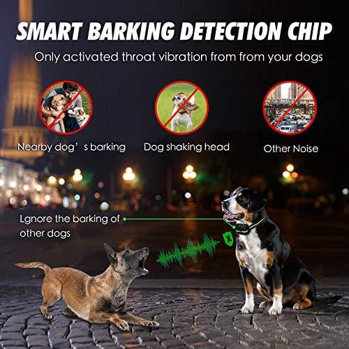 Bark Collar [ Newest 2019 Upgraded ] Rechargeable Shock Training Collar with IP67 Waterproof and Smart Detection Module w/Triple Anti Barking Modes: Beep/Vibration/Shock for Small/Medium/Large dogs