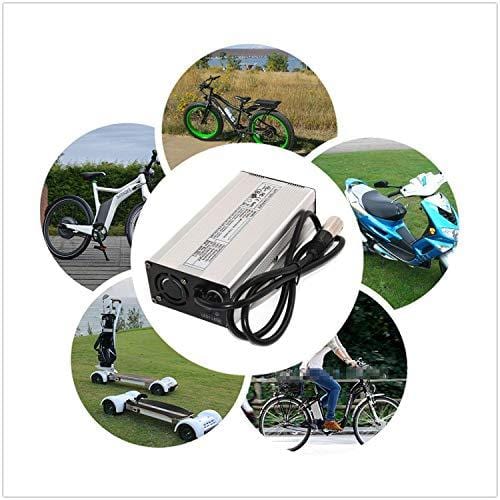 54.6V 4A Charger Electric Bike Charger 48V Li-ion Battery Charger 48V Charger 48V Scooter/E-Bike/Boat/Motorcycle Battery Charger 48V for Ezgo Battery Charger (54.6V4A XLR)