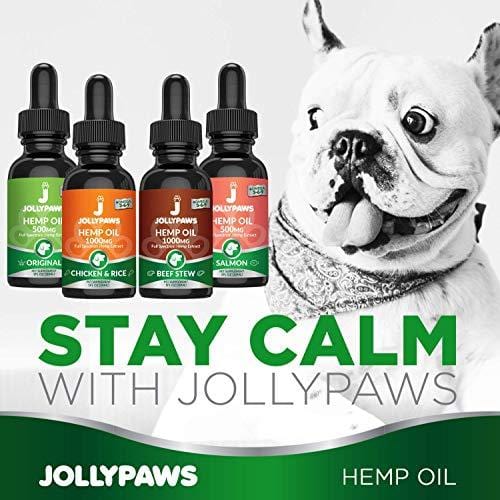 Hemp Oil for Dogs and Cats - 1000 MG - Pain Relief for Pets, Stress & Anxiety Relief - Chicken & Rice Flavor - Made in USA