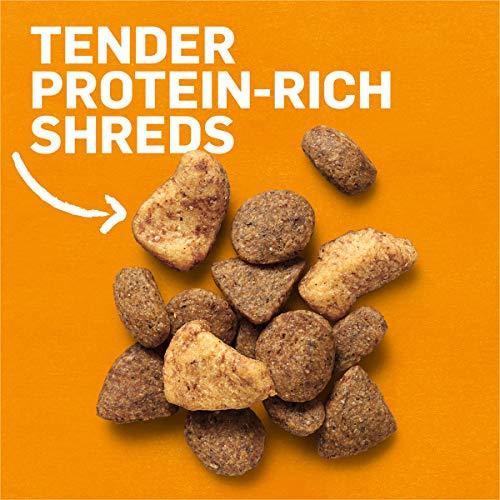 Purina Beyond Grain Free White Meat Chicken & Egg Recipe Adult Dry Dog Food - 23 lb. Bag