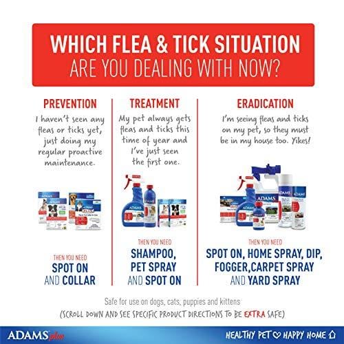 Adams Plus Flea and Tick Shampoo with Precor, 12 Ounce