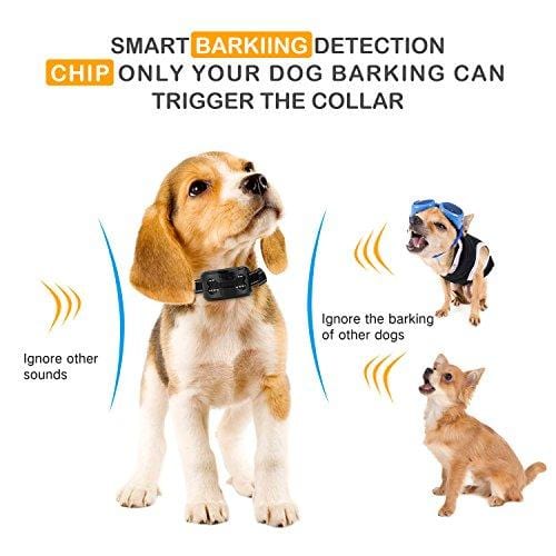 Bark Collar, Rechargeable Anti Dog Bark Collar 7 Adjustable Sensitivity Intensity Levels Harmless Bark Collars Small Medium Large Dog