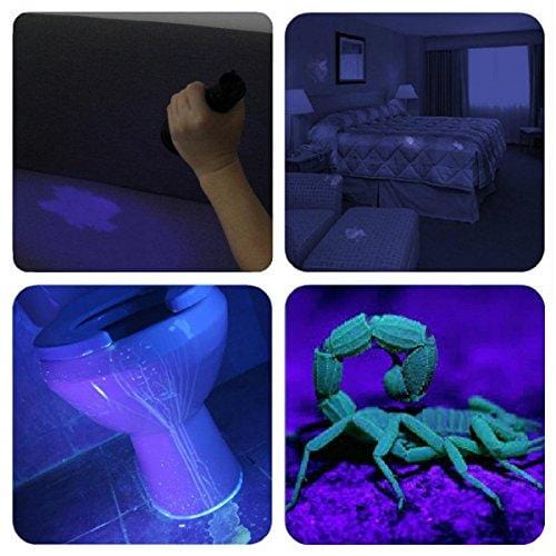 Black Light UV Flashlight UV Light,Vansky Blacklight 12 LED Ultraviolet Urine Detector For Dog/Cat/Pet Urine & Dry Stains and Bed Bug On Carpets/Rugs/Floor,Matching with Pet Odor Eliminator