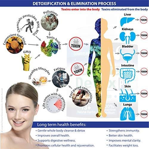 Longevity Complete Detox [PM] - Rapid Whole Body Detox with Support for Deeper Sleep & Better Relaxation - Colon, Liver, Lymph, Kidney Cleanse with Goji Berries & 13+ Other top Quality Natural Herbs