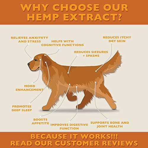 Hemp Oil for Dogs & Cats - Dog Anxiety Relief, Joint Support for Dogs, Great for Healthy Skin and Coat - Good Source of Omega 3 for Dogs - Organic - Made in USA - Apply to Dog Calming Treats - Dog