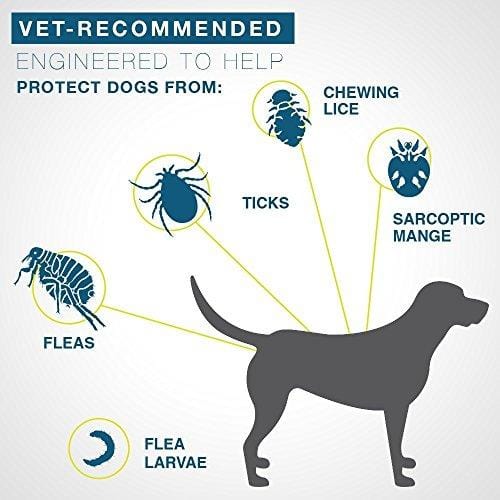 Seresto Flea and Tick Collar For Dogs Small Under 18lbs (2-Pack)